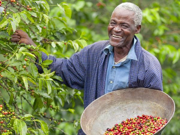A Taste of Africa Whole Bean Coffees